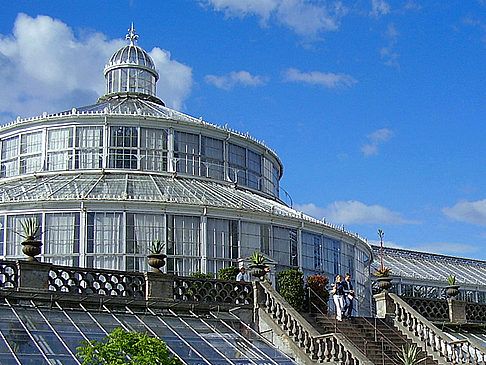 Citysam Kopenhagen Botanischer Garten Infos Attraktionen