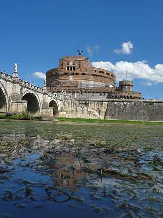 Tiber