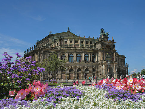 Semperoper mit Blumen Fotos