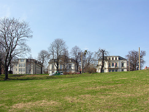 Foto Elbufer - Dresden